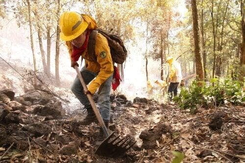 Ayer se liquidaron 10 incendios forestales, quedando dos pendientes